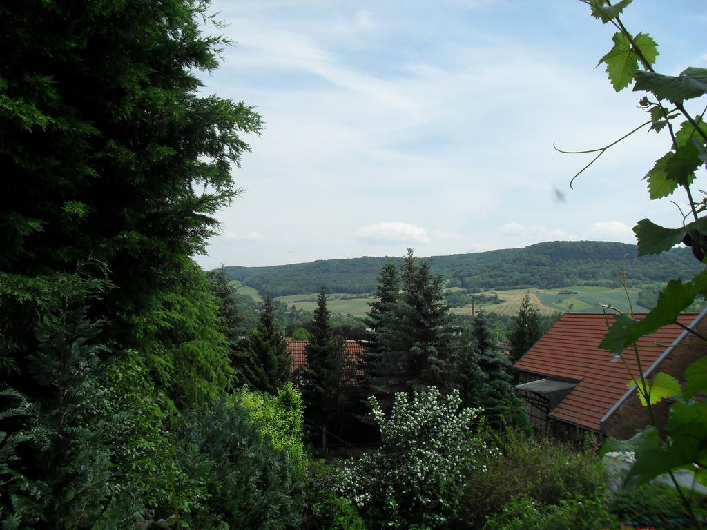 Ferienwohnung Bergblick Jena Ruang foto
